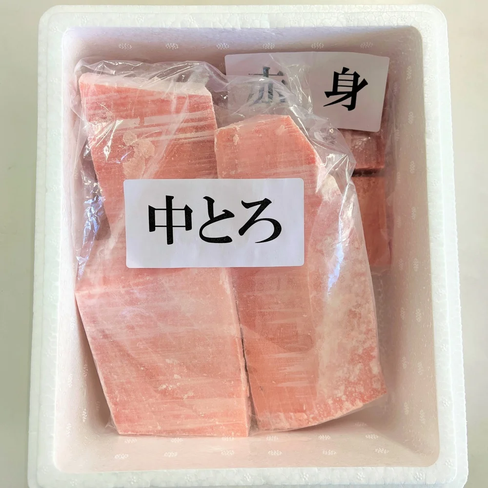 Frozen Maguro/冷凍まぐろ