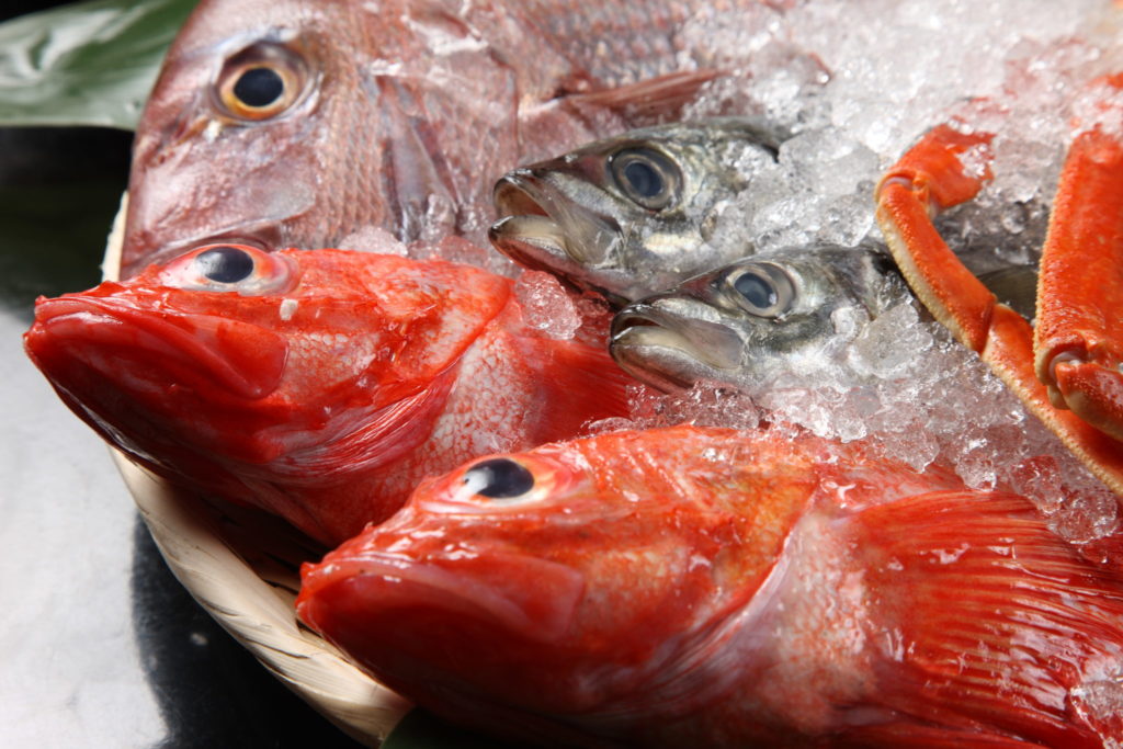 Frozen Fish / 冷凍お魚