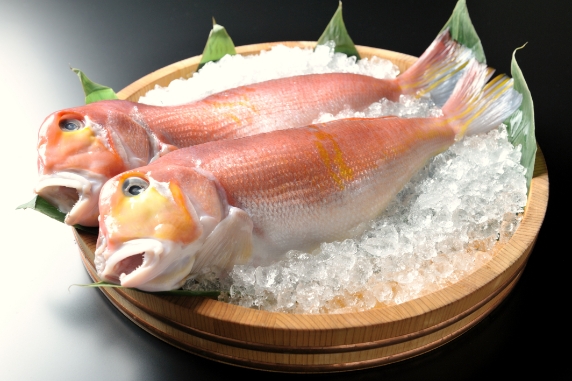 赤甘鯛 / Aka Amadai / Red Horsehead Tilefish / Cá đổng quéo