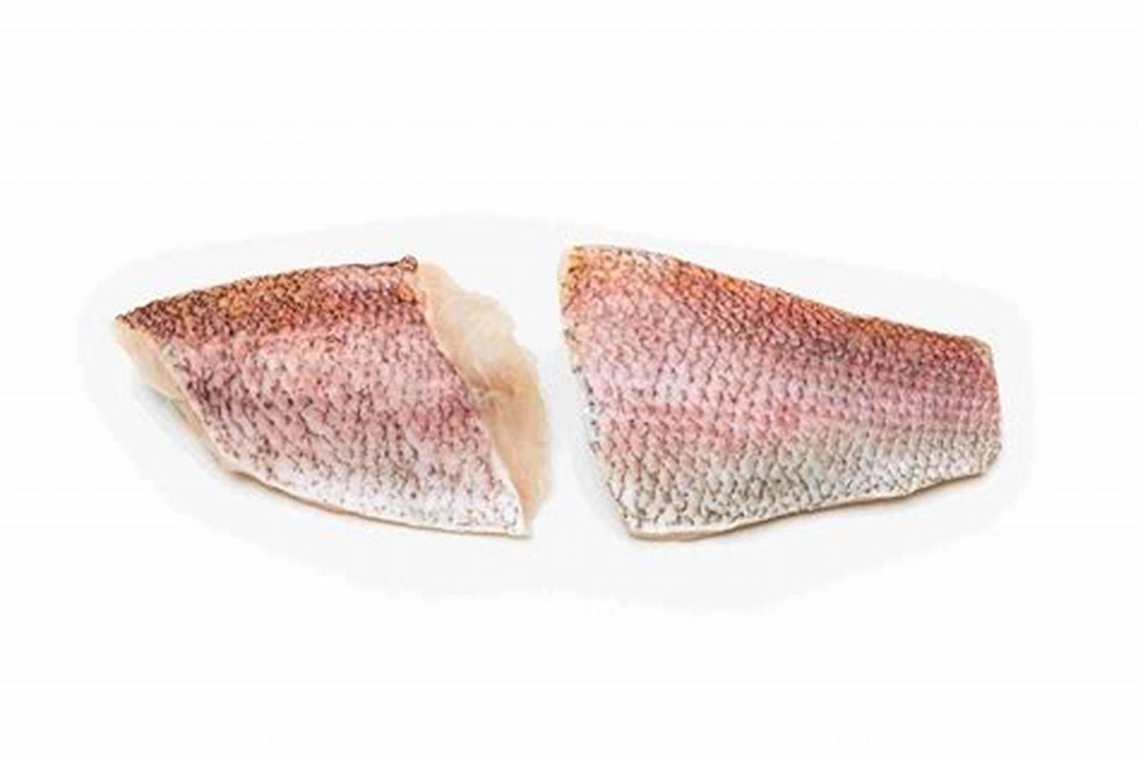 養殖生姜マダイフィレ　( 120g カット) /Farmed Red seabream 120g x10slice	(Shouga madai)