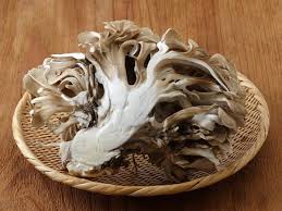 マイタケ / Maitake / Maitake mushroom / Nấm khiêu vũ