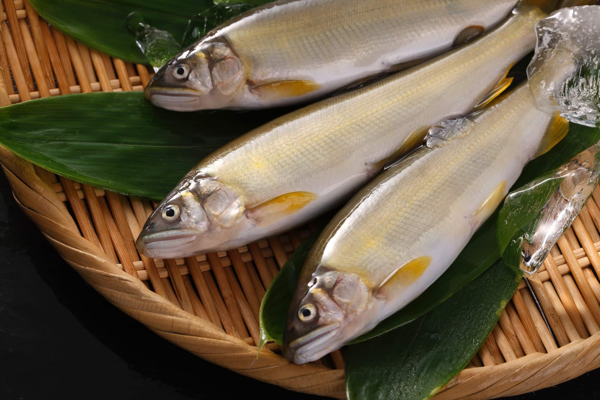 鮎 / Ayu / Sweetfish / Cá ngọt