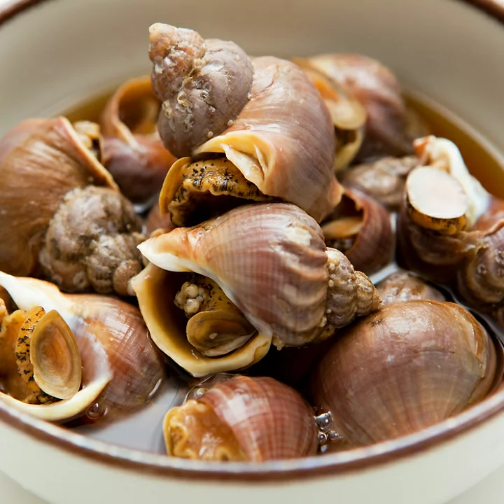 磯つぶ貝/ Isotsubugai/ Small Whelk/ Ốc xoắn nhỏ