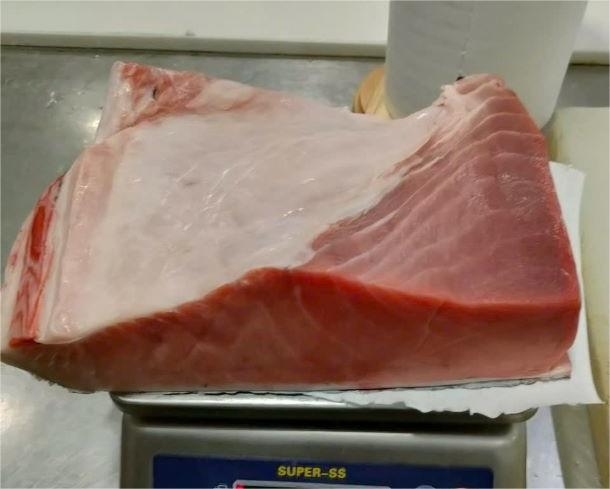 高知産・長崎産　養殖本鮪　生カワラ１/ Farmed Bluefin Tuna KAWARA 1