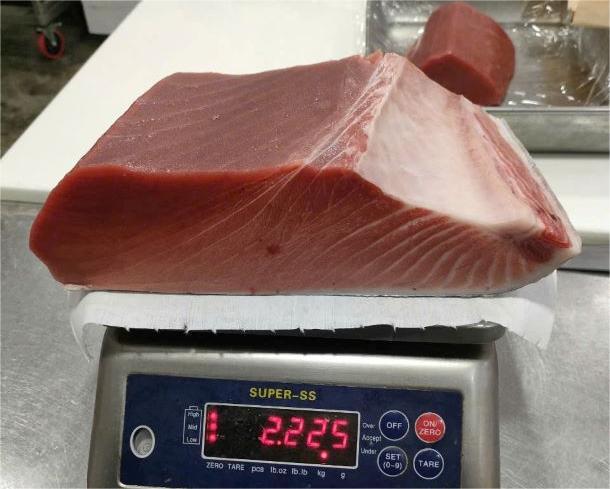 高知産・長崎産　養殖本鮪　生カワラ2/ Farmed Bluefin Tuna KAWARA 2