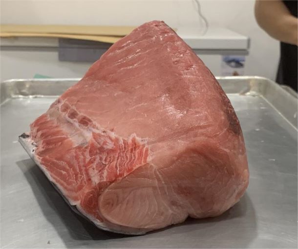 高知産・長崎産　養殖本鮪　腹背上/ Farmed Bluefin Tuna SE 1 