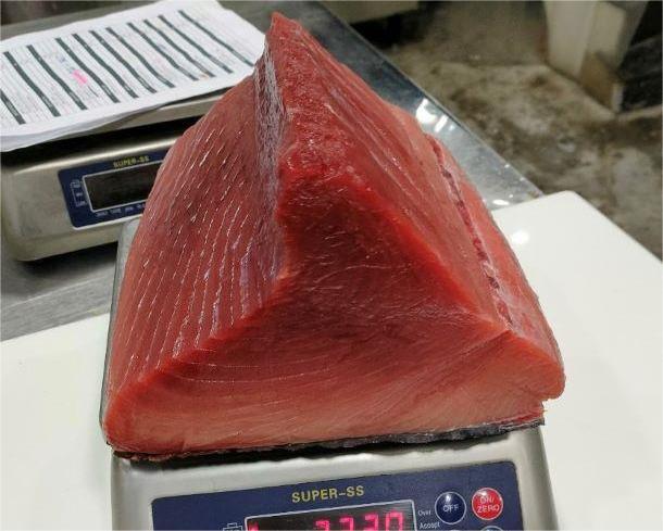 高知産・長崎産　養殖本鮪　腹背中 / Farmed Bluefin Tuna SE 2