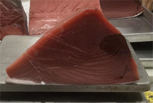 高知産・長崎産　養殖本鮪　腹背下 / Farmed Bluefin Tuna SE 3