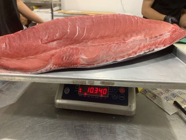高知産・長崎産　養殖本鮪　腹背ロイン / Farmed Bluefin Tuna SE LOIN