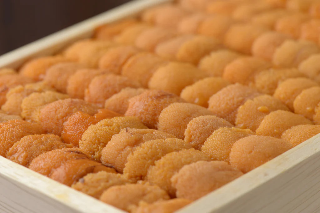 Uni/ウニ