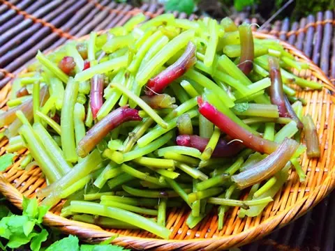 Seasonal Vegetables /季節野菜