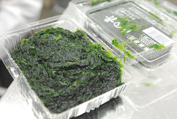 なまのり/Nama nori / Fresh seaweed / Rong biển tươi