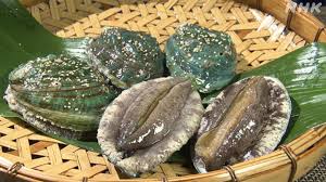 養殖アワビ 100g~150g / Youshoku Awabi 100gr~150gr/ Farmed Abalone  (100gr~150g size) / Bào ngư nuôi